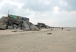 ildo104-9a.jpg ildo104-9a.jpg